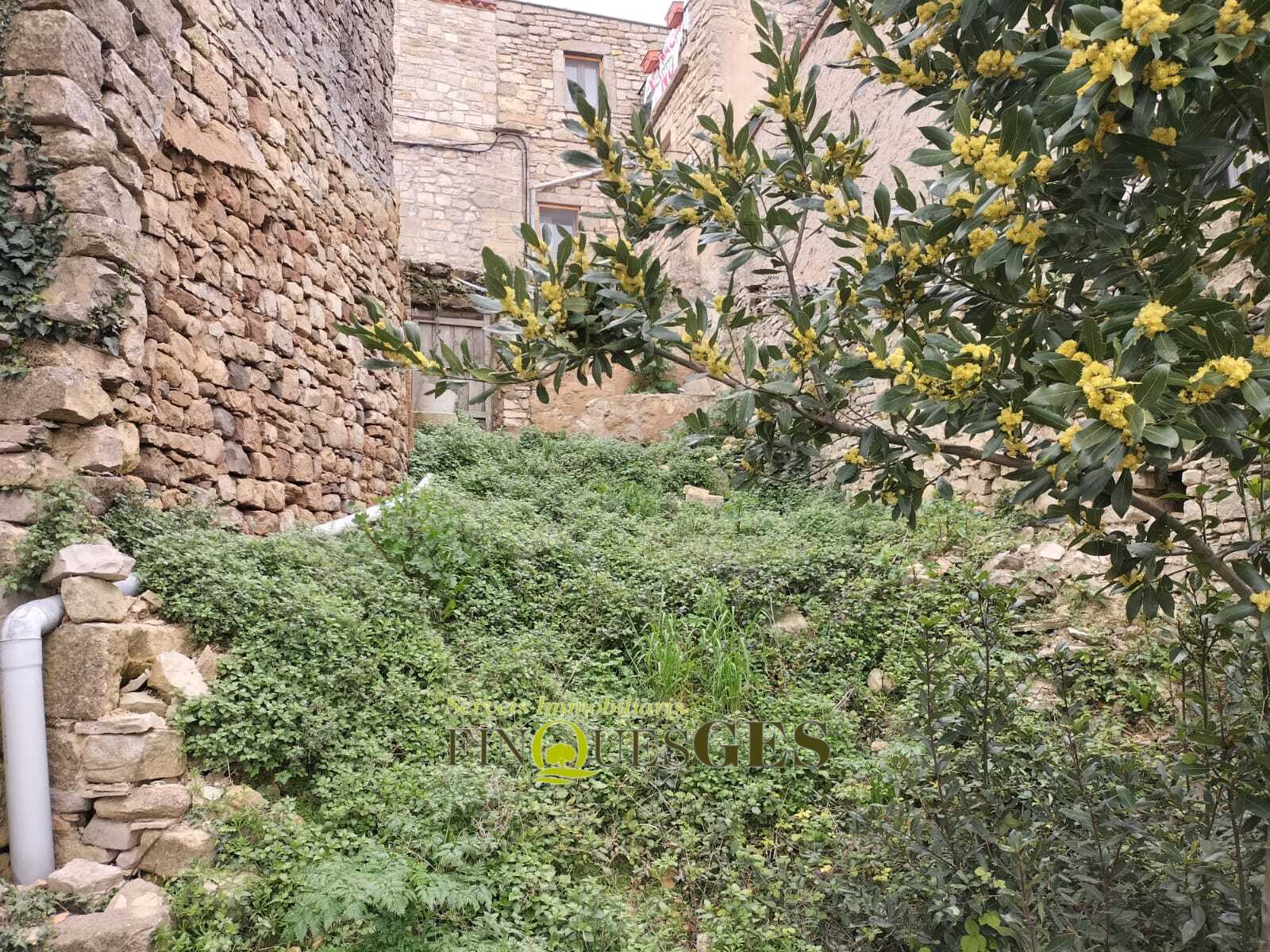Terreny en venda al Carrer de Baix a Belltall