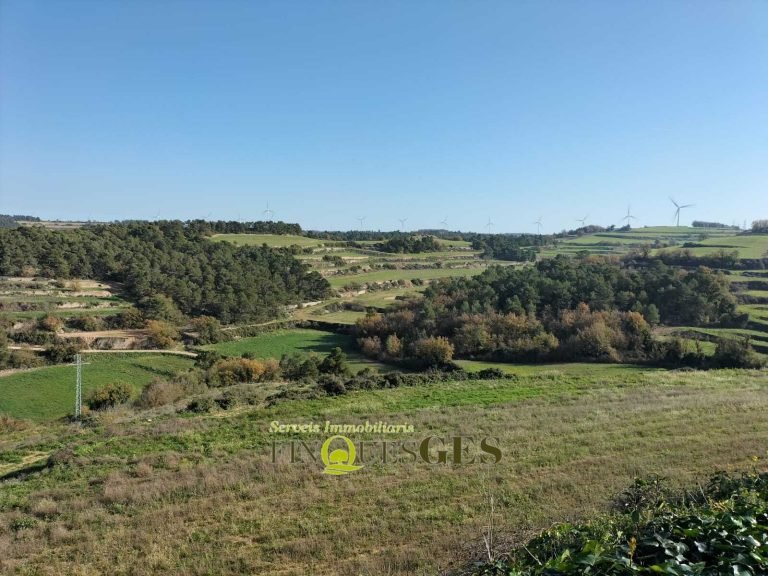 Terreny en venda al Carrer de Baix a Belltall