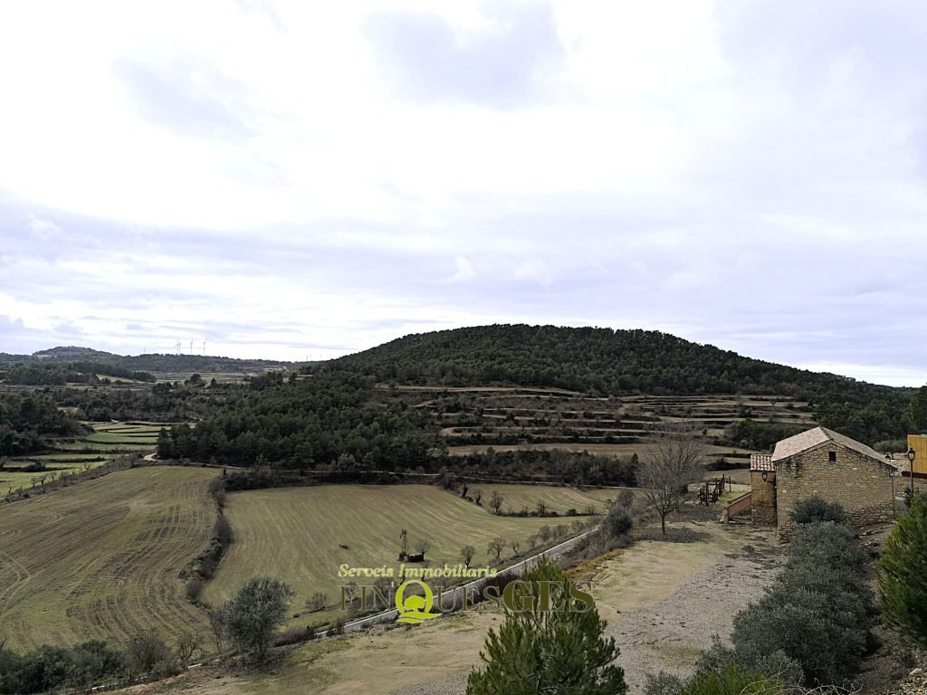 Casa de poble en venda a Carrer de L'Eixida, Vallbona de Les Monges