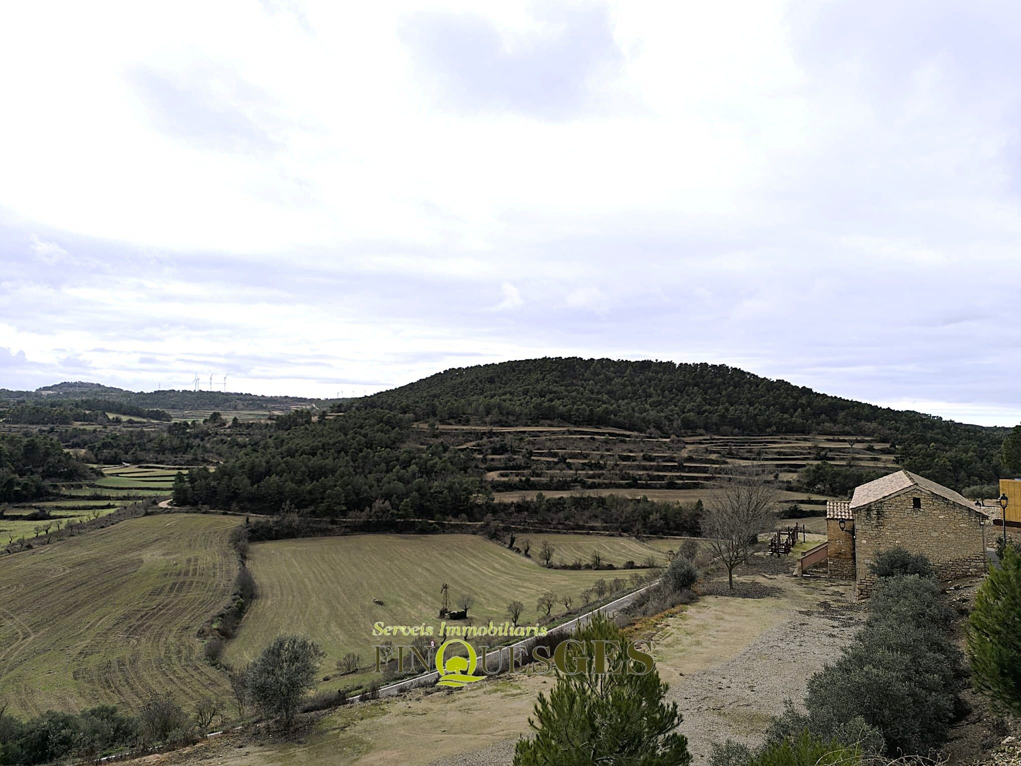Casa de poble en venda a Carrer de L'Eixida, Vallbona de Les Monges
