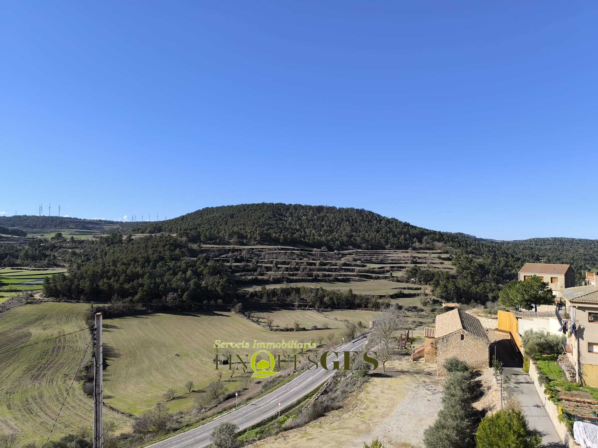 Casa de poble en venda a Carrer de L'Eixida, Vallbona de Les Monges