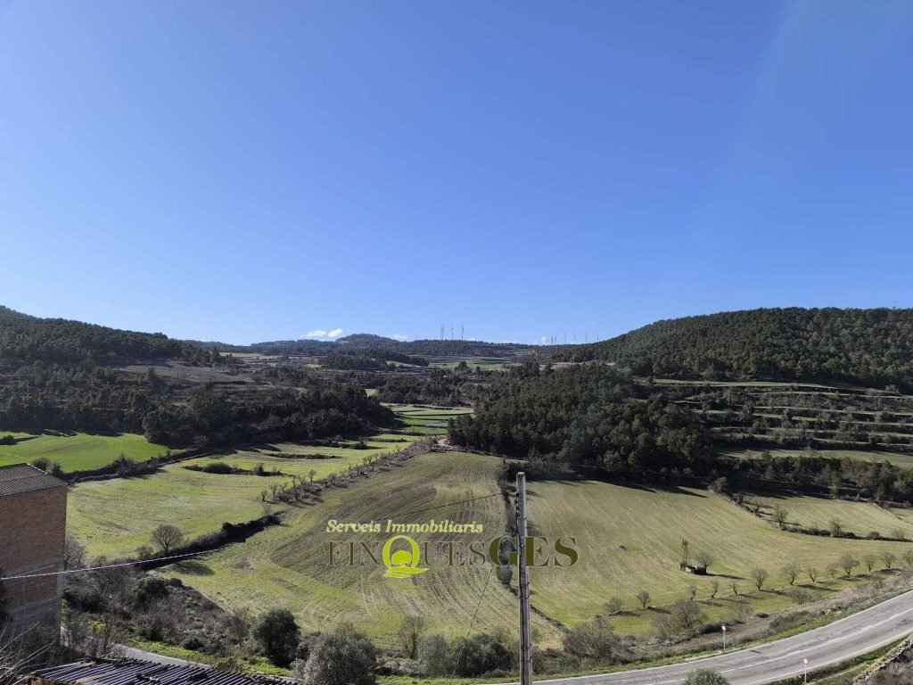 Casa de poble en venda a Carrer de L'Eixida, Vallbona de Les Monges