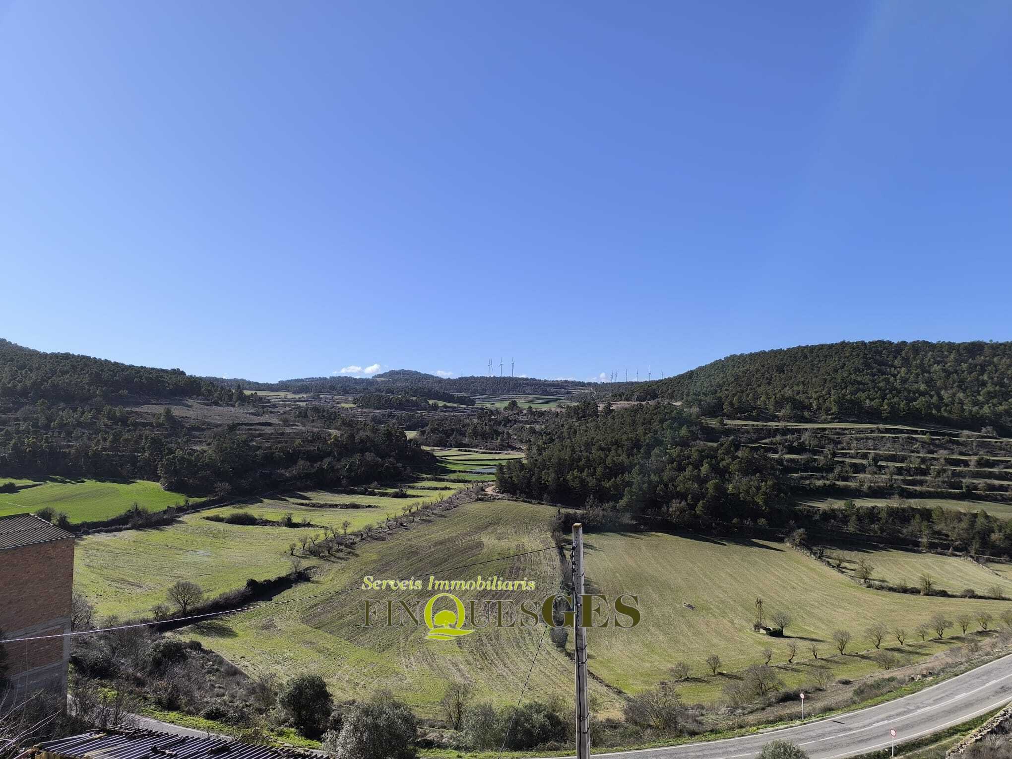 Casa de poble en venda a Carrer de L'Eixida, Vallbona de Les Monges