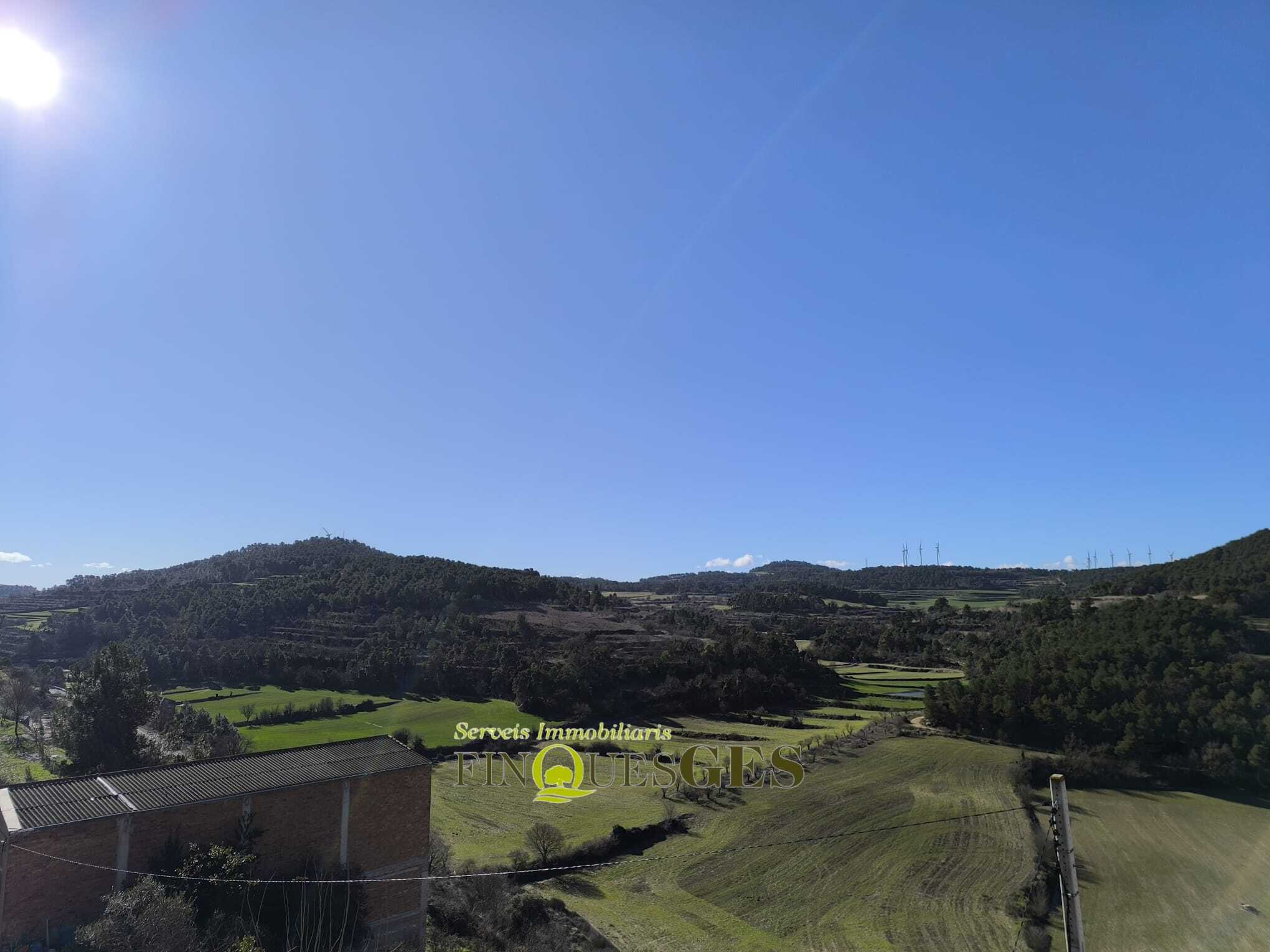 Casa de poble en venda a Carrer de L'Eixida, Vallbona de Les Monges