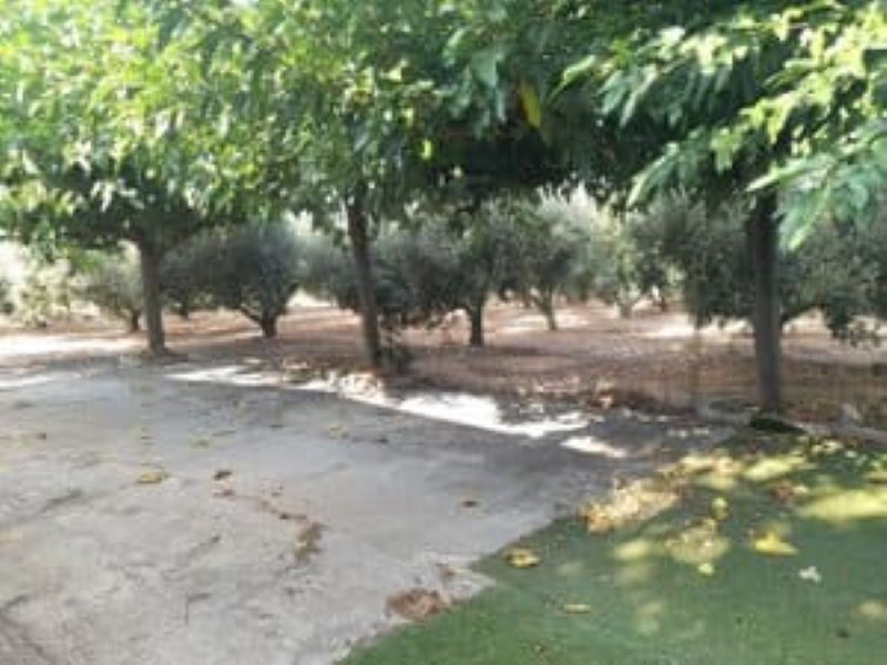 Finca rústica en venta en Los Bassals s/n, La Maso