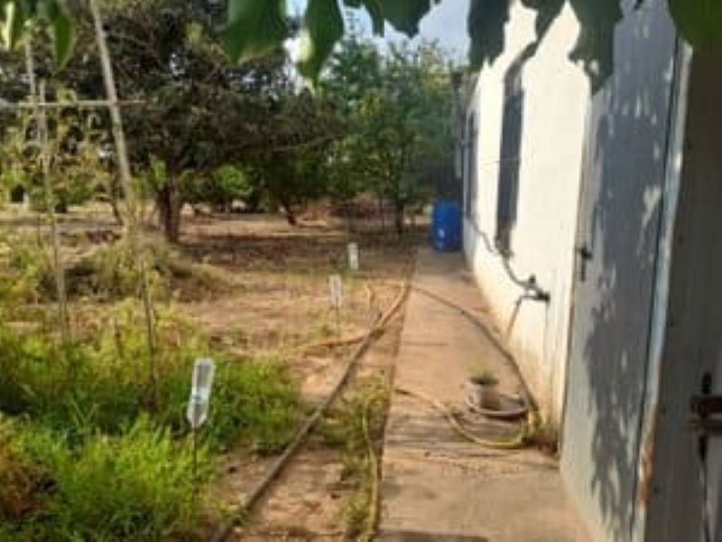 Finca rústica en venta en Los Bassals s/n, La Maso