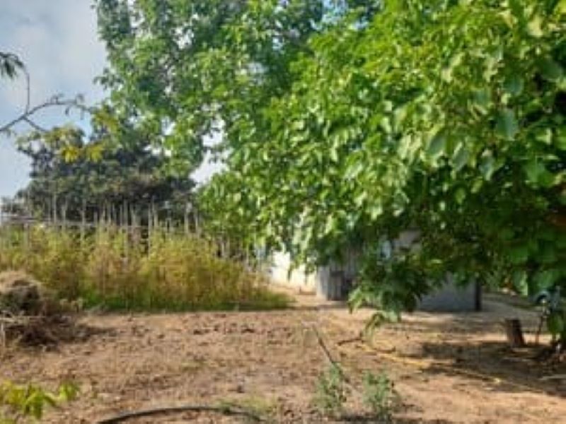 Finca rústica en venta en Los Bassals s/n, La Maso