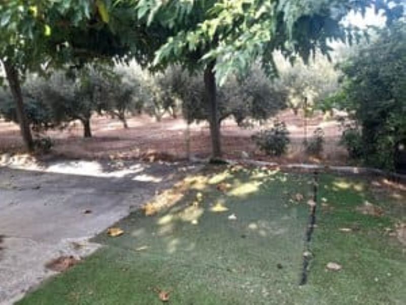Finca rústica en venta en Los Bassals s/n, La Maso