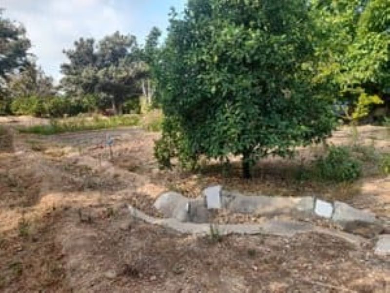 Finca rústica en venta en Los Bassals s/n, La Maso